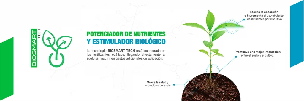 infografia biosmart tech