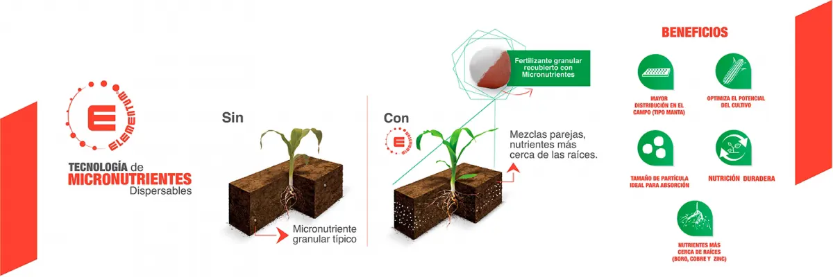 infografia elementum 0