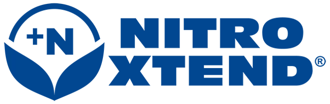 Inicio 5 logo