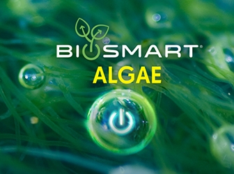 35.biosmart algae boletin