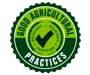 certificaciones good agriculttural
