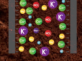 que es la fertilidad quimica del suelo 27