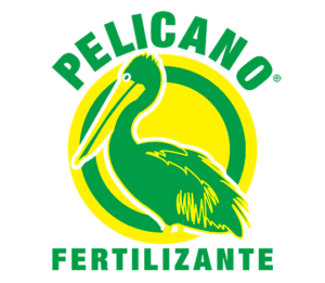 logo pelicano