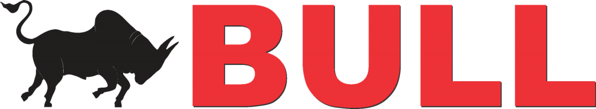 logo bull 0