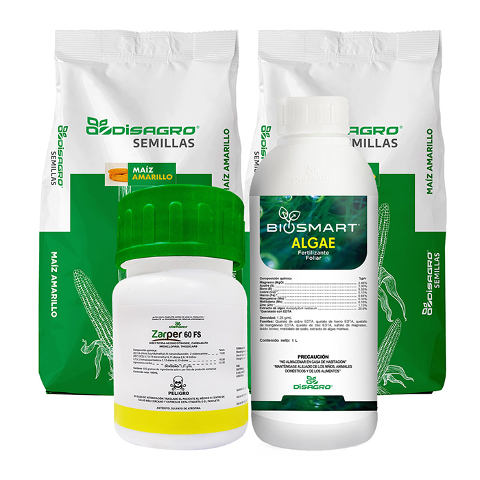 GT semillaamarilla zarper algae