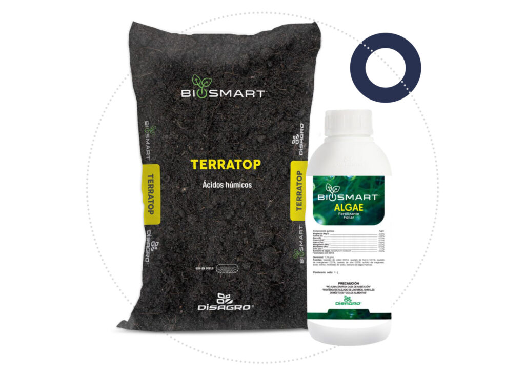 biosmart tech terratop fortalecen interaccion planta microbioma