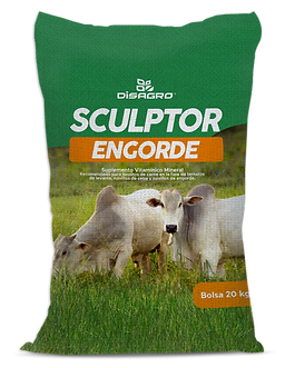 Saco Sculptor Engorde