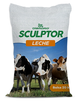 Saco Sculptor Leche