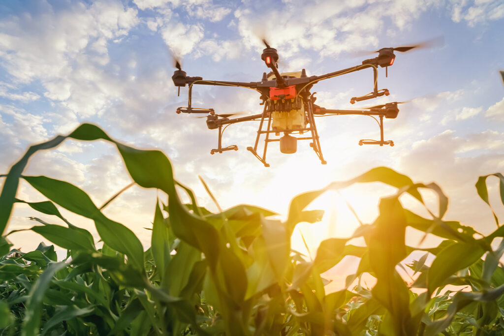 Agricultura Inteligente: cultivando el futuro con precisión 2 capacitacion digital y acceso a conocimiento