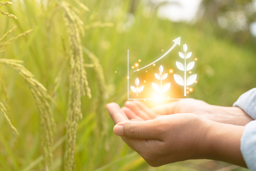 Agricultura Inteligente: cultivando el futuro con precisión 4 digitalizacio del financiamiento agricola