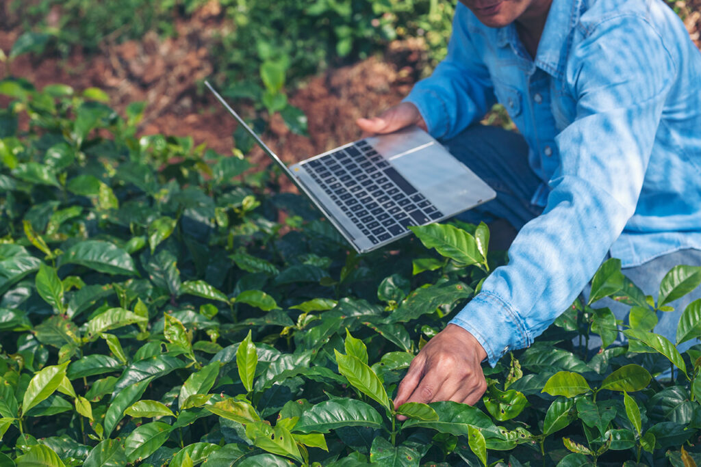 Agricultura Inteligente: cultivando el futuro con precisión 5 implementacion en pequenas y fincas medianas