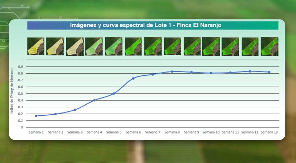 El Proxy de Biomasa, un servicio de AgritecGEO®, para apoyar a los agricultores a tomar mejores decisiones 3 indice proxy biomasa lote 1 agritecgeo