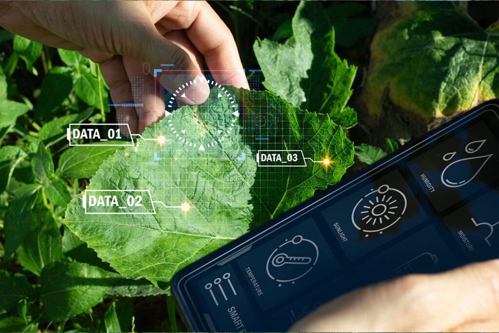 Agricultura Inteligente: cultivando el futuro con precisión 6 vision de futuro la agricultura digital