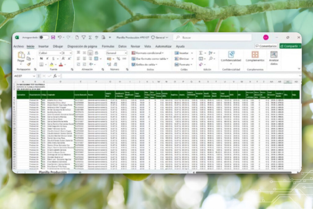 Planilla Agrícola: optimización y control de la mano de obra 2 planilla de pago saf agritecgeo