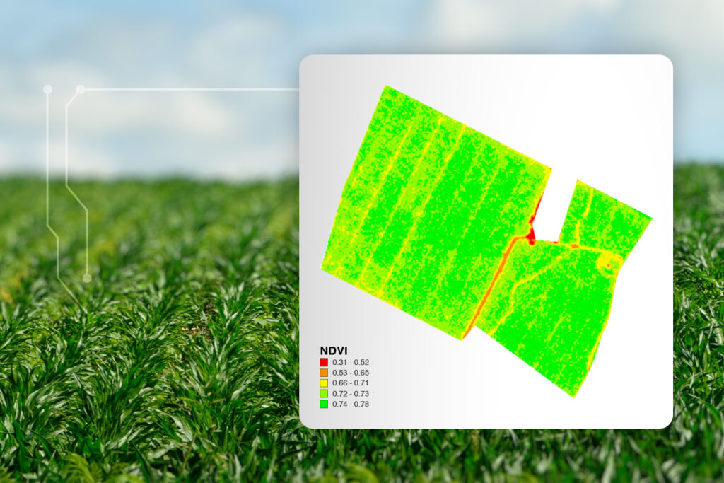 Análisis de la variabilidad espacial con Power Zones 2 ndvi indices de vegetacion mapa agritecgeo