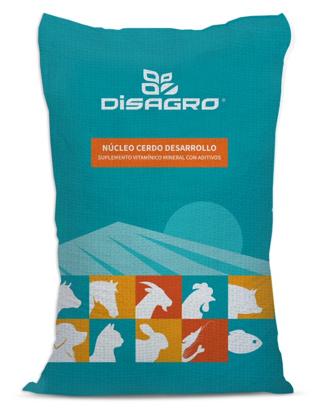 RS4191 Nucleo Cerdo Desarrollo scr