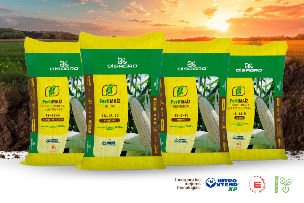 fertimaiz mejor fertilizante para maiz disagro