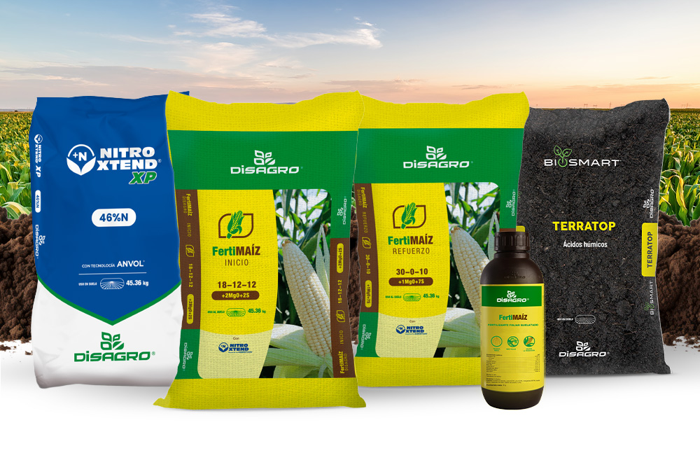 Mejor fertilizante para maíz en Guatemala comparativa técnica y práctica 1 Mejores fertilizantes para maíz