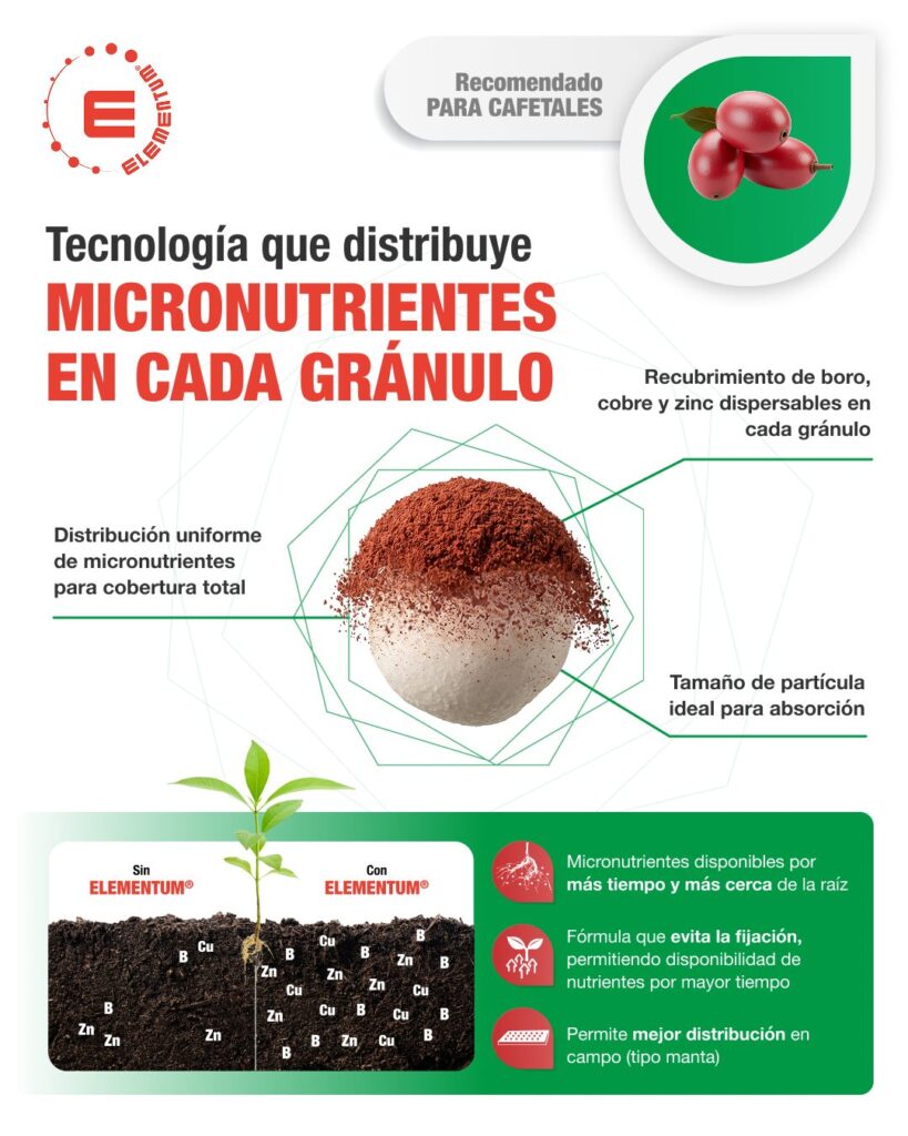 ¿Cuál es el mejor fertilizante para café? 7 tecnologia elementum disagro ferticafe