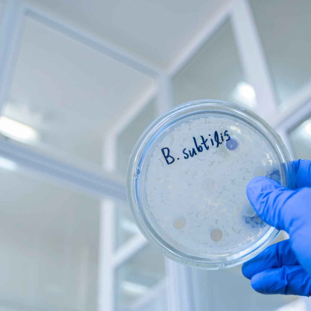 The,Scientist,Holds,With,His,Hand,In,A,Blue,Glove,